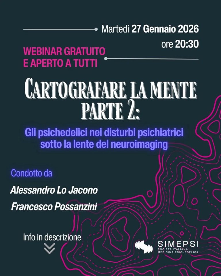 Locandina: Cartografare la mente – Parte 2: psichedelici e neuroimaging